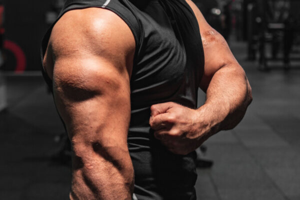 Male-Bodybuilder Male-Bodybuilder